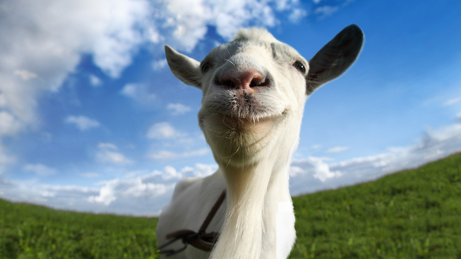 Goat Simulator: The Bundle annoncé sur PS4 !