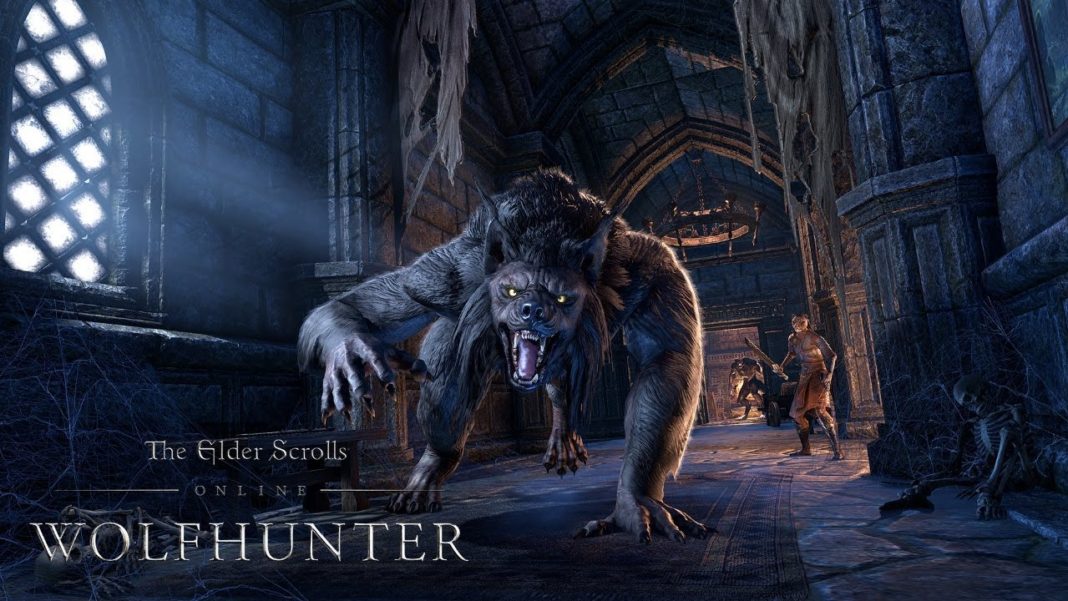 The Elder Scrolls Online Summerset - Wolfhunter