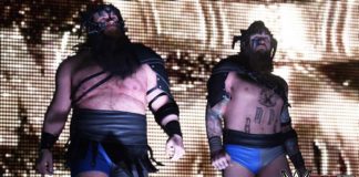 WWE 2K19 : le Pack Titans est désormais disponible ! WWE 2K19 - Pack Titans