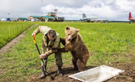 DonationAlerts 01 DonationAlerts