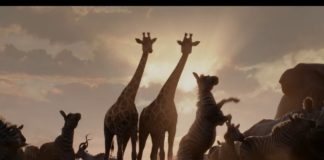 Le Roi Lion : un nouveau teaser pour l’adaptation Live-Action Le Roi Lion