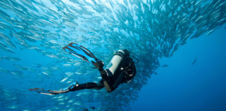 Ricoh/Pentax dévoile sa sélection pour bien s’équiper avant l’été Ricoh/Pentax