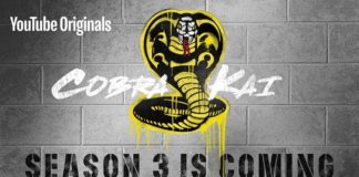 Cobra Kai : la saison 3 officiellement annoncée pour 2020 ! Cobra Kai Season 3 Saison 3