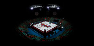 Carrumble : une open bêta fermée et une date de sortie annoncées ! Carrumble