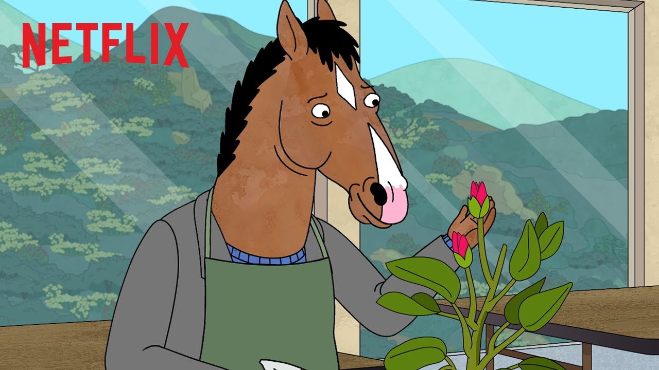 BoJack Horseman BoJack Horseman