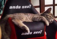 Anda Seat s’associe à Koch Media pour la distribution de leur gamme de sièges gaming Anda Seat