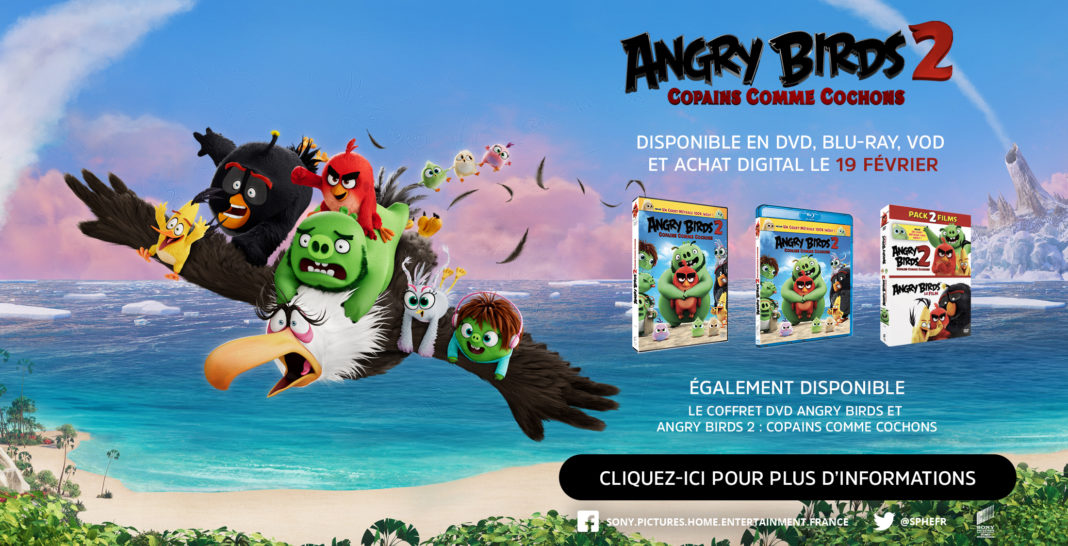 ANGRY BIRDS 2 - COPAINS COMME COCHONS
