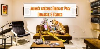 Le Comics Corner - Après-midi Birds of Prey !