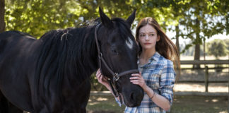 Black Beauty : l’adaptation du classique de la littérature arrive sur Disney+