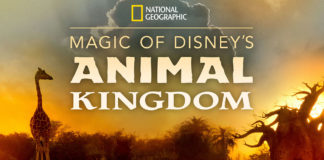 Au Cœur d’Animal Kingdom : la série documentaire bientôt sur Disney+ Au Cœur d'Animal Kingdom