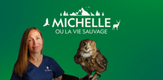 Michelle ou la vie sauvage