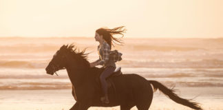 Black Beauty : un trailer pour l’adaptation du classique de la littérature sur Disney+ Black Beauty