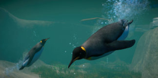Planet Zoo : le DLC Pack Aquatic se trouve une date de sortie Planet-Zoo_Aquatic_Paid_Screenshots_Penguin_01_3840x2160