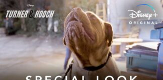 Turner et Hooch : un nouvel aperçu de la future série Disney+ Turner et Hooch