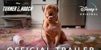 Turner et Hooch : une bande annonce pour la future série Disney+ Turner et Hooch