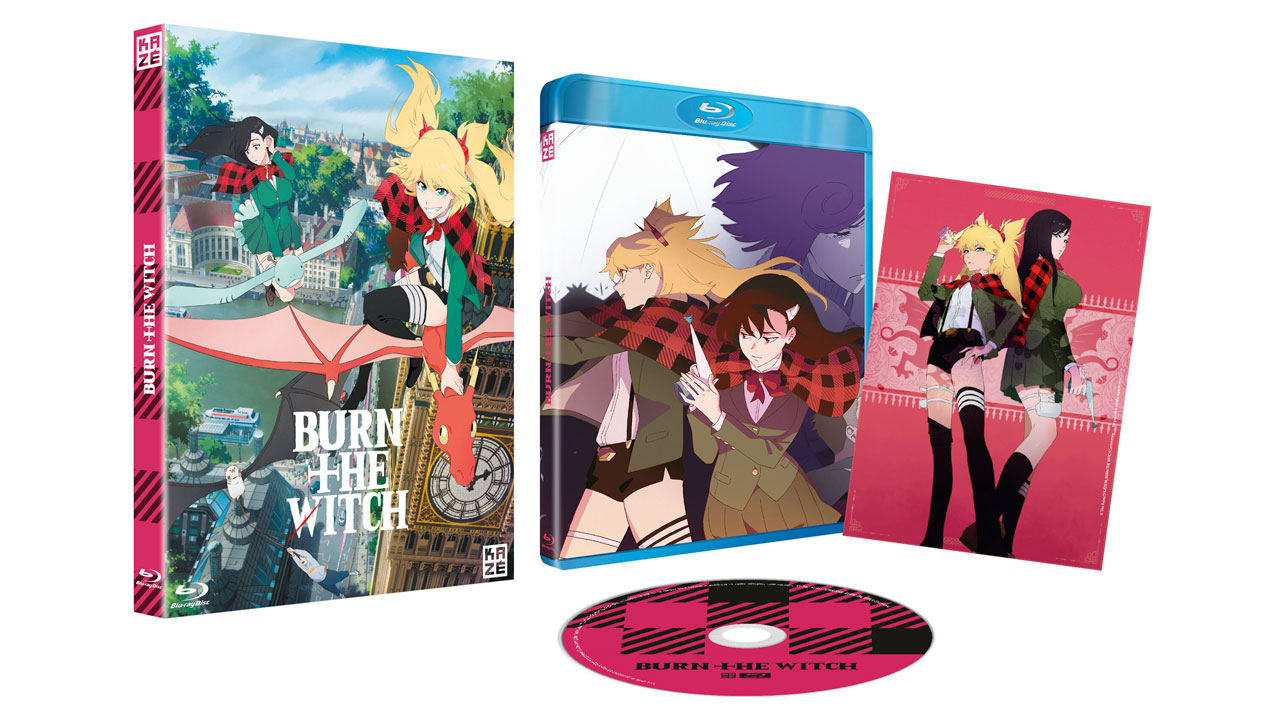 Burn The Witch Burn The Witch