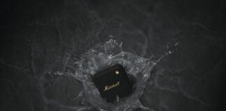 MARSHALL_WILLENT_Black_and_Brass_99euros_3