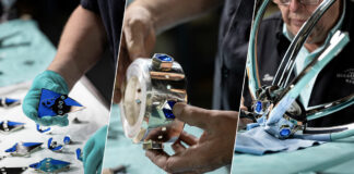 Riot Games s’associe avec le joailler légendaire Tiffany & Co. Riot Games X Tiffany & Co.