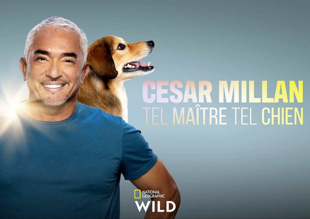 Cesar Millan: Tel Maître, Tel Chien