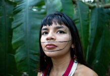 La forêt amazonienne : notre terre