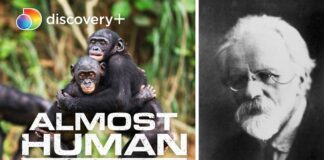 L’avènement des hommes-singes ?, le 27 décembre sur Discovery Channel L'avènement des hommes-singes ?