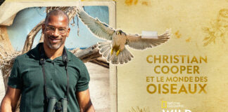 Christian Cooper et le monde des oiseaux