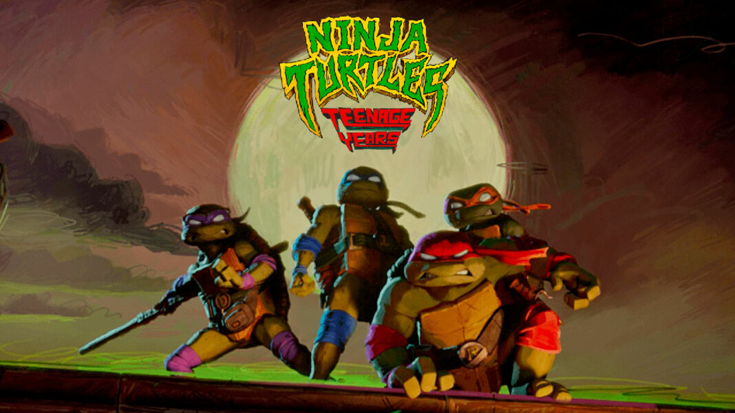 Ninja-Turtles-Teenage-Years-01