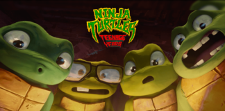 Ninja Turtles Teenage Years