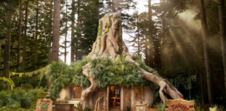 Passez la nuit au cœur du Marais de Shrek avec Airbnb Airbnb-x-Shrek-01