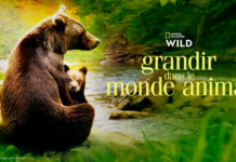 Grandir-dans-le-monde-animal National Geographic WILD