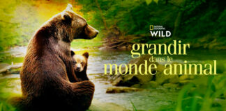 Grandir dans le monde animal, dès le 12 janvier sur National Geographic Wild Grandir-dans-le-monde-animal National Geographic WILD