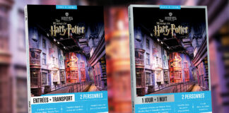 Harry Potter : deux coffrets Wonderbox pour découvrir les studios mythiques Wonderbox-Studio Tour Harry Potter