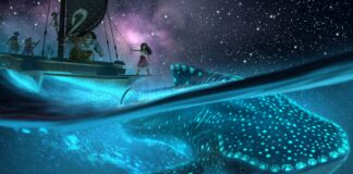 Vaiana 2 annoncé pour novembre 2024 via un tout premier teaser ! Vaiana 2 Moana 2