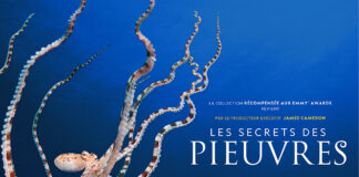 Les Secrets des pieuvres : National Geographic fait appel à Paul Rudd comme narrateur National-Geographic-Les-Secrets-des-pieuvres