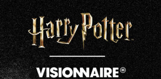 Harry Potter x Visionnaire : une nouvelle collection exclusive de prêt-à-porter Streewear HARRY POTTER x VISIONNAIRE