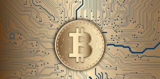 Une journée dans la vie d’un investisseur féru de technologie (investissements en bourse et en crypto-monnaies) crypto-monnaies