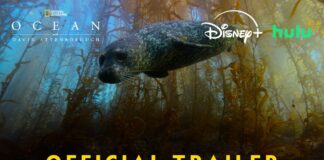 David Attenborough : L’appel de l’Océan, le 8 juin sur National Geographic et Disney+ David Attenborough : L'appel de l'Océan, le 8 juin sur National Geographic et Disney+