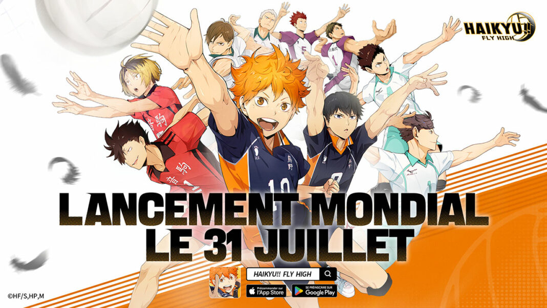 HAIKYU!! FLY HIGH HAIKYU!! FLY HIGH