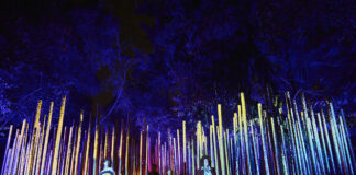 Light Cycles, l’expérience multisensorielle nocturne débarque à La Villette Light Cycles