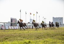 Parier sur les bookmakers suisses : guide des meilleurs sites de paris sportifs Paris