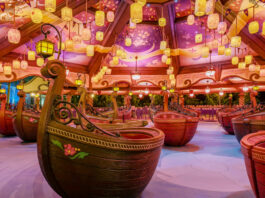 Raiponce Tangled Spin