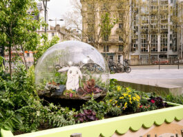 Jardin Pokopia Paris